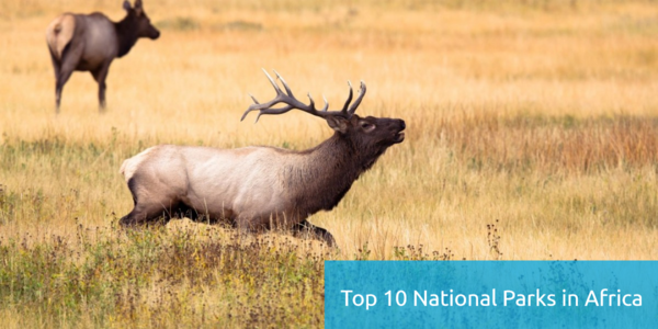 Top 10 National Parks in Africa