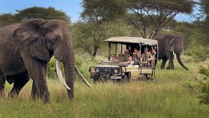 africa is endowed with tourism